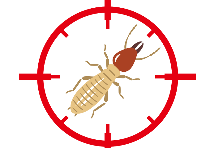 target termite